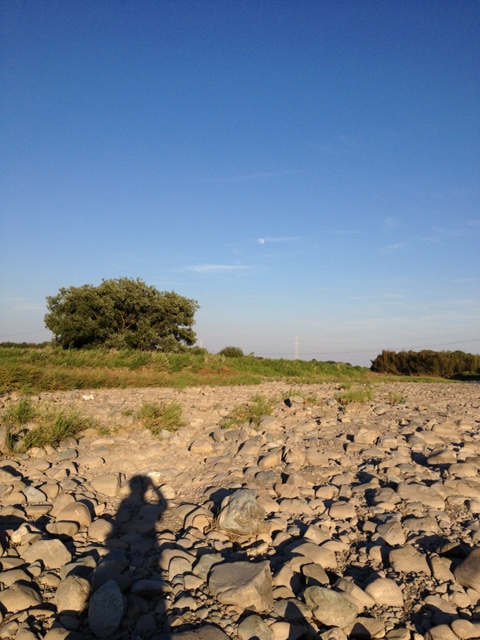BLOG20130523002.jpg