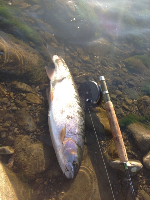 BLOG20130523004.jpg