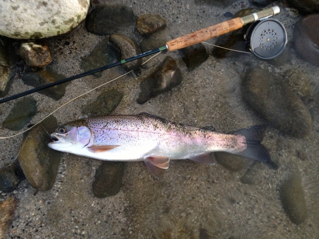 BLOG20130523006.jpg