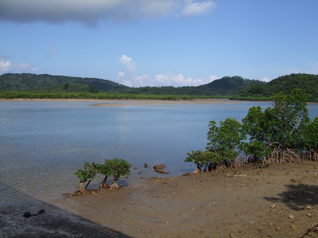 BLOG2013060301.jpg