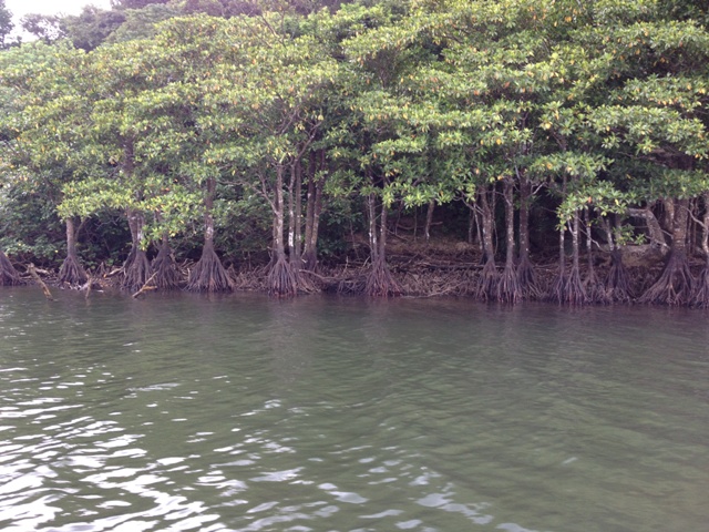 BLOG2013060307.jpg