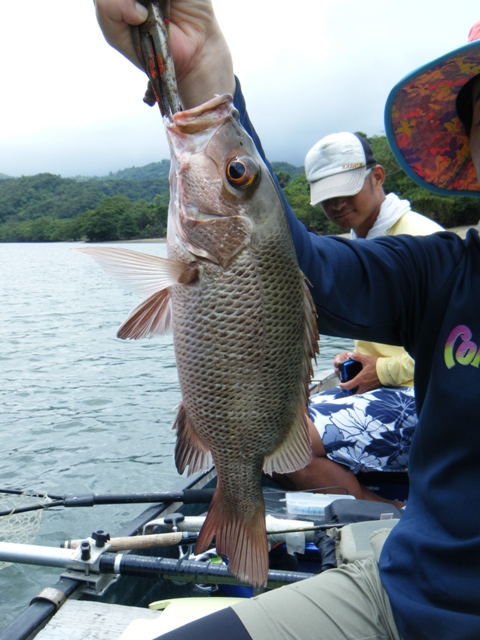 BLOG2013060308.jpg