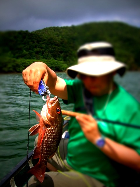 BLOG2013060310.jpg