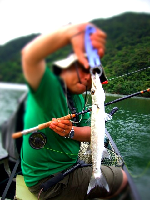 BLOG2013060313.jpg