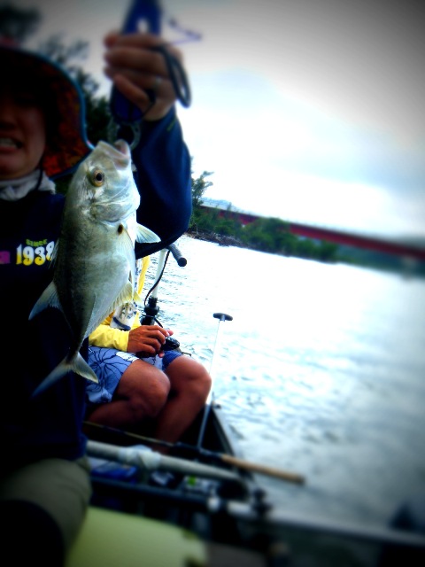 BLOG2013060314.jpg