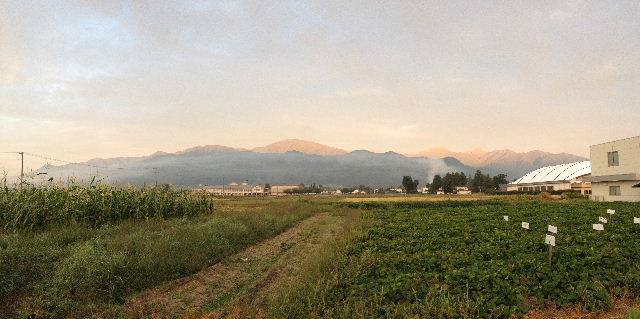 BLOG201309001.jpg