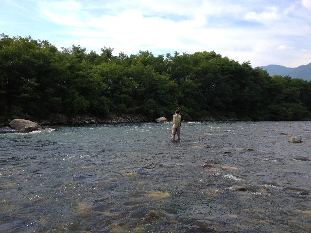 BLOG201309005.jpg