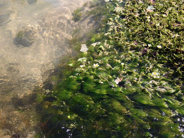 BLOG201309015.jpg
