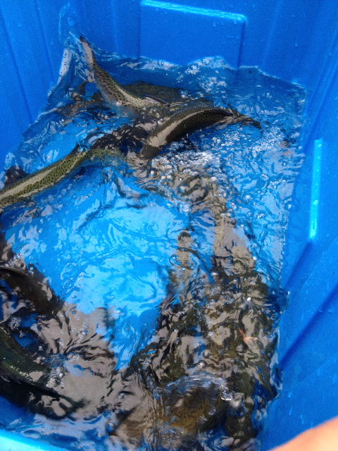BLOG2013110301.jpg