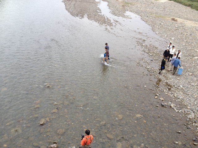 BLOG2013110307.jpg