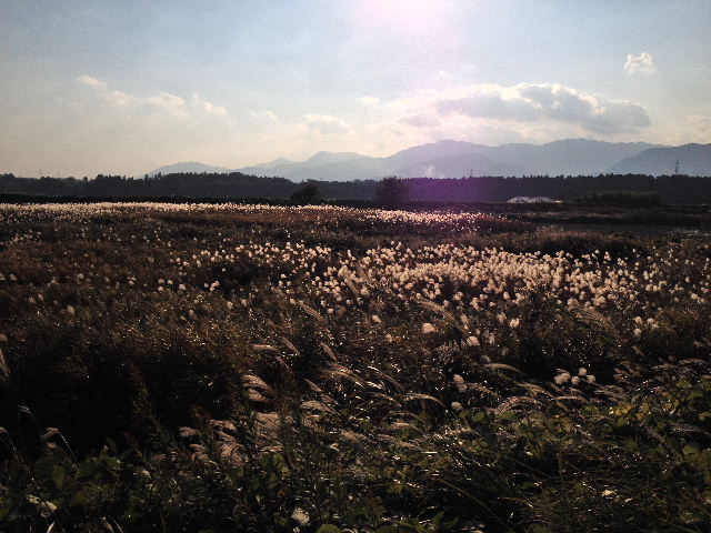 BLOG2013111602.jpg