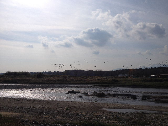 BLOG2013112402.jpg